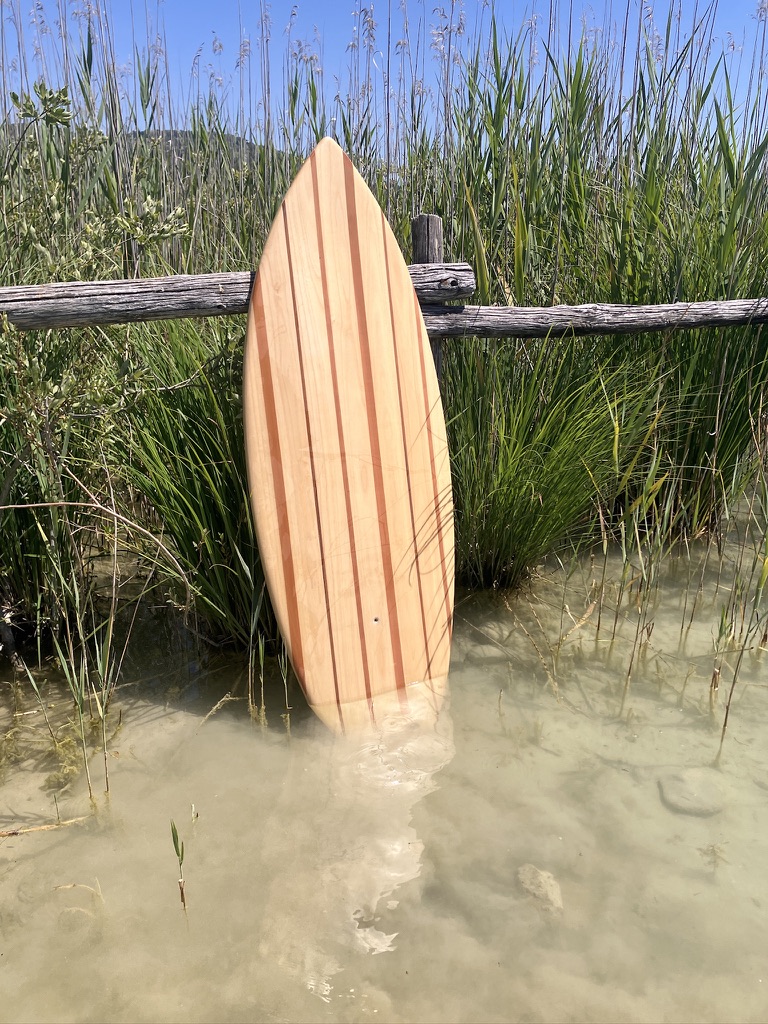 Wakesurf - 5'21'' - CENT53 nautic