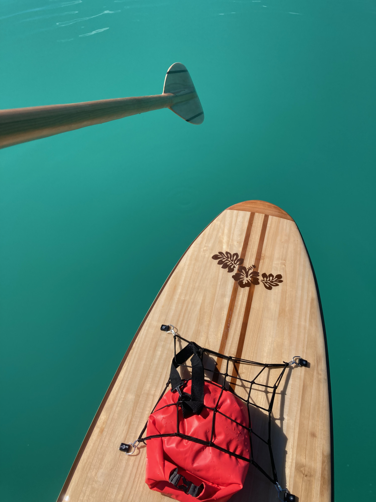 Paddle dans les caraïbes...